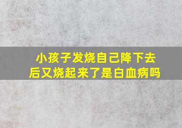 小孩子发烧自己降下去后又烧起来了是白血病吗