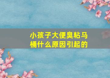 小孩子大便臭粘马桶什么原因引起的