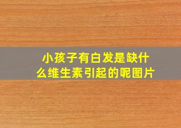 小孩子有白发是缺什么维生素引起的呢图片