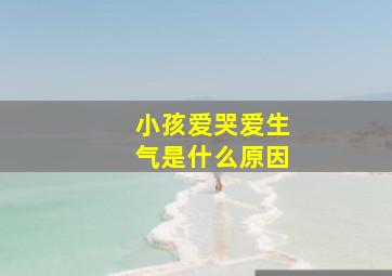 小孩爱哭爱生气是什么原因