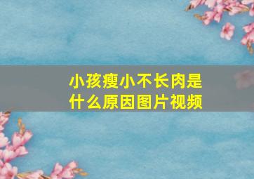 小孩瘦小不长肉是什么原因图片视频