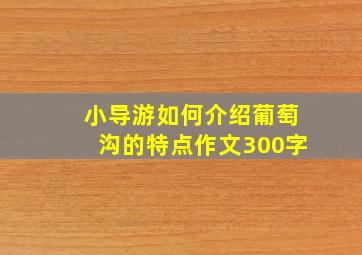 小导游如何介绍葡萄沟的特点作文300字