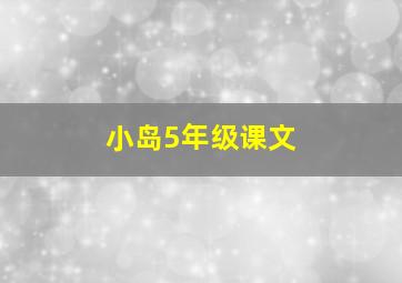 小岛5年级课文