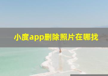 小度app删除照片在哪找