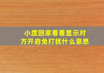 小度回家看看显示对方开启免打扰什么意思