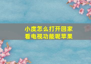 小度怎么打开回家看电视功能呢苹果