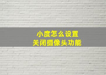 小度怎么设置关闭摄像头功能