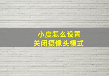 小度怎么设置关闭摄像头模式