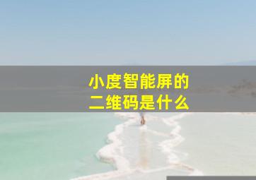 小度智能屏的二维码是什么