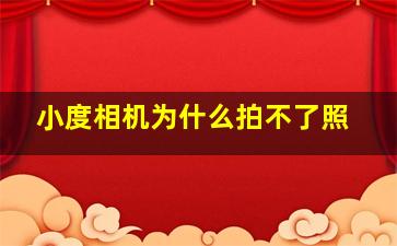 小度相机为什么拍不了照