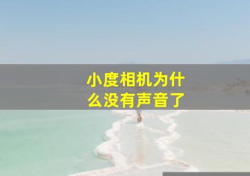 小度相机为什么没有声音了