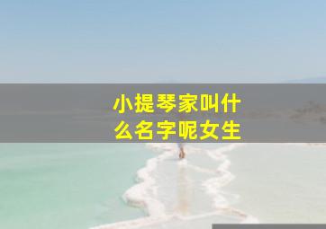 小提琴家叫什么名字呢女生