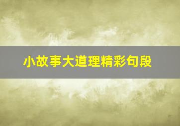 小故事大道理精彩句段