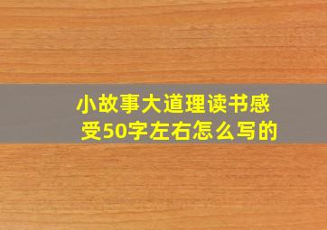 小故事大道理读书感受50字左右怎么写的