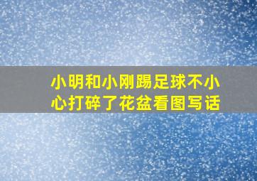 小明和小刚踢足球不小心打碎了花盆看图写话