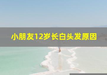 小朋友12岁长白头发原因