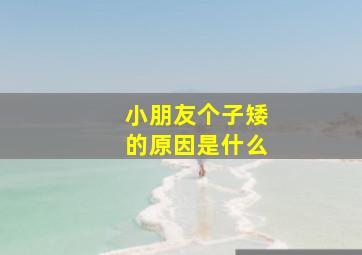 小朋友个子矮的原因是什么