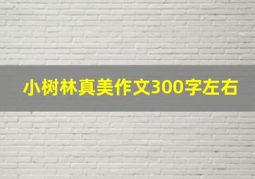 小树林真美作文300字左右