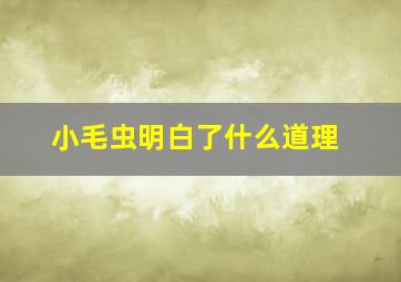 小毛虫明白了什么道理