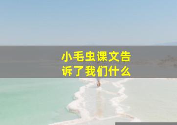 小毛虫课文告诉了我们什么