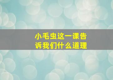 小毛虫这一课告诉我们什么道理