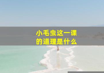 小毛虫这一课的道理是什么