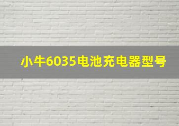 小牛6035电池充电器型号