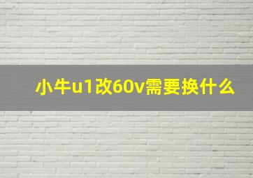 小牛u1改60v需要换什么