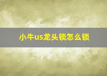 小牛us龙头锁怎么锁