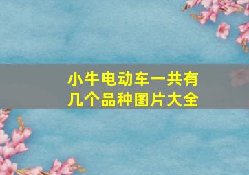 小牛电动车一共有几个品种图片大全