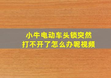 小牛电动车头锁突然打不开了怎么办呢视频