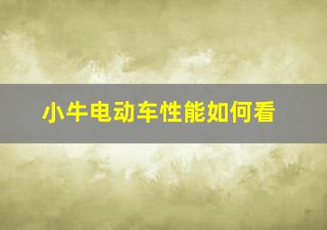 小牛电动车性能如何看