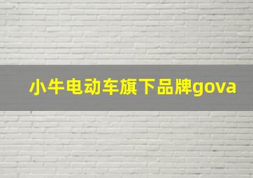 小牛电动车旗下品牌gova