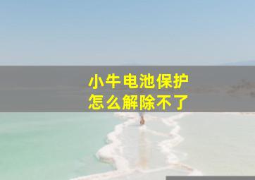 小牛电池保护怎么解除不了