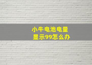 小牛电池电量显示99怎么办