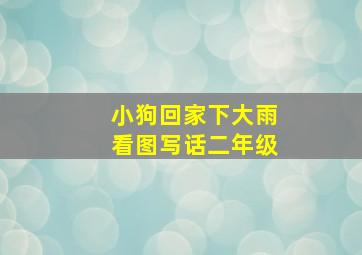 小狗回家下大雨看图写话二年级