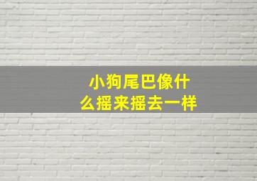 小狗尾巴像什么摇来摇去一样