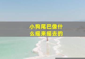 小狗尾巴像什么摇来摇去的