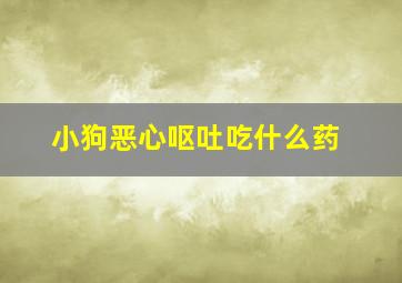 小狗恶心呕吐吃什么药