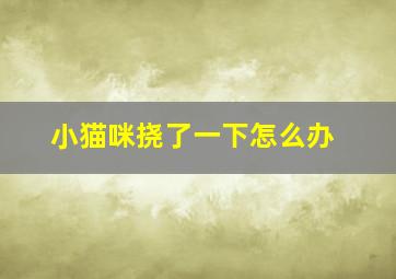 小猫咪挠了一下怎么办