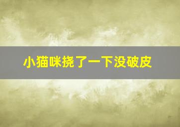 小猫咪挠了一下没破皮