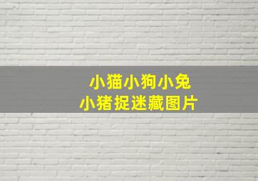 小猫小狗小兔小猪捉迷藏图片