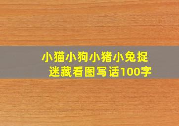 小猫小狗小猪小兔捉迷藏看图写话100字