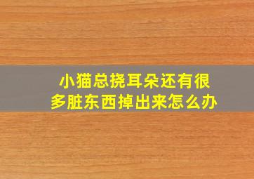 小猫总挠耳朵还有很多脏东西掉出来怎么办