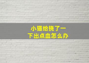 小猫给挠了一下出点血怎么办