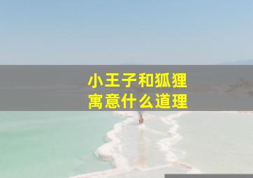 小王子和狐狸寓意什么道理