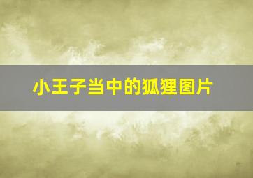 小王子当中的狐狸图片