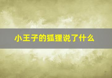 小王子的狐狸说了什么