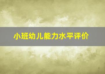 小班幼儿能力水平评价