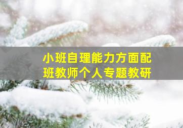 小班自理能力方面配班教师个人专题教研